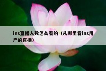ins直播人数怎么看的（从哪里看ins用户的直播）