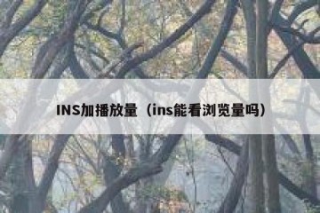 INS加播放量（ins能看浏览量吗）