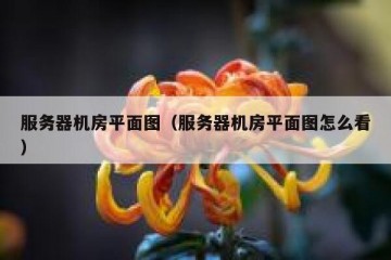 服务器机房平面图（服务器机房平面图怎么看）