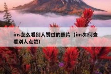ins怎么看别人赞过的照片（ins如何查看别人点赞）