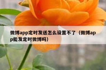 微博app定时发送怎么设置不了（微博app能发定时微博吗）