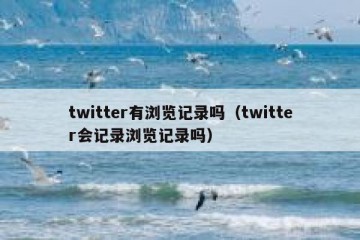 twitter有浏览记录吗（twitter会记录浏览记录吗）