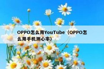 OPPO怎么用YouTube（OPPO怎么用手机测心率）