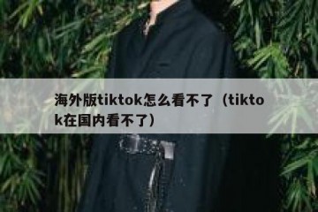 海外版tiktok怎么看不了（tiktok在国内看不了）