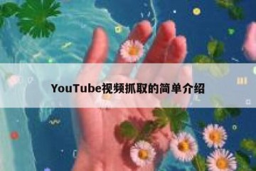 YouTube视频抓取的简单介绍
