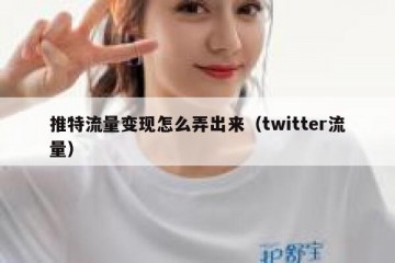 推特流量变现怎么弄出来（twitter流量）