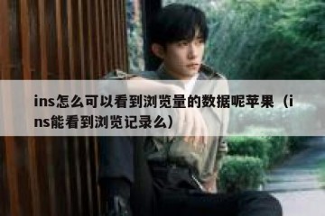 ins怎么可以看到浏览量的数据呢苹果（ins能看到浏览记录么）