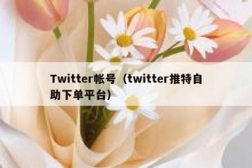 Twitter帐号（twitter推特自助下单平台）