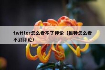 twitter怎么看不了评论（推特怎么看不到评论）