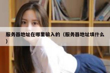 服务器地址在哪里输入的（服务器地址填什么）