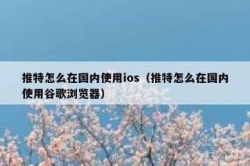 推特怎么在国内使用ios（推特怎么在国内使用谷歌浏览器）
