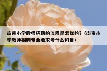 南京小学教师招聘的流程是怎样的?（南京小学教师招聘专业要求考什么科目）