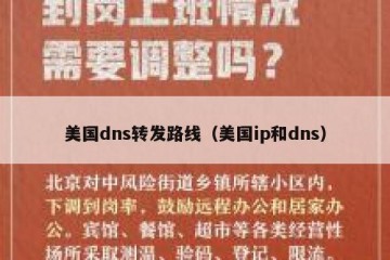 美国dns转发路线（美国ip和dns）