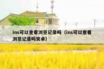 ins可以查看浏览记录吗（ins可以查看浏览记录吗安卓）