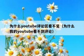 为什么youtube评论区看不见（为什么我的youtube看不到评论）