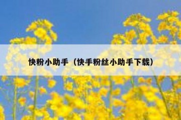 快粉小助手（快手粉丝小助手下载）