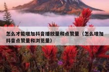 怎么才能增加抖音播放量和点赞量（怎么增加抖音点赞量和浏览量）