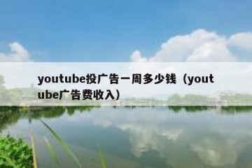 youtube投广告一周多少钱（youtube广告费收入）