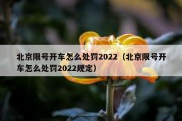 北京限号开车怎么处罚2022（北京限号开车怎么处罚2022规定）