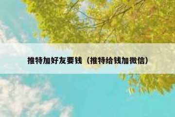 推特加好友要钱（推特给钱加微信）