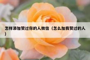 怎样添加赞过你的人微信（怎么加我赞过的人）