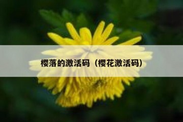樱落的激活码（樱花激活码）