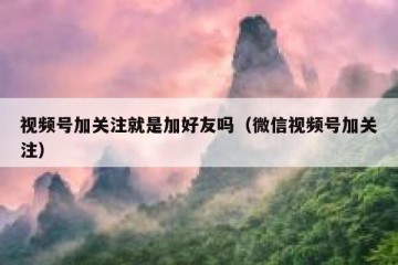 视频号加关注就是加好友吗（微信视频号加关注）