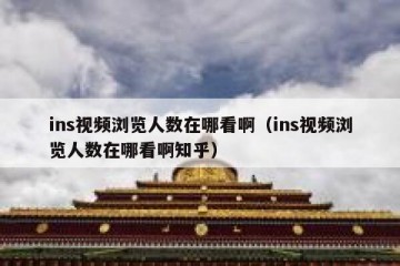 ins视频浏览人数在哪看啊（ins视频浏览人数在哪看啊知乎）