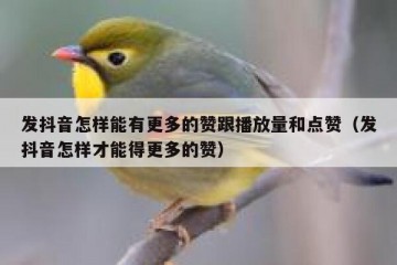 发抖音怎样能有更多的赞跟播放量和点赞（发抖音怎样才能得更多的赞）