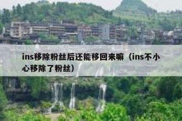 ins移除粉丝后还能移回来嘛（ins不小心移除了粉丝）