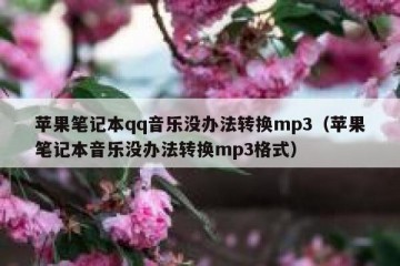 苹果笔记本qq音乐没办法转换mp3（苹果笔记本音乐没办法转换mp3格式）