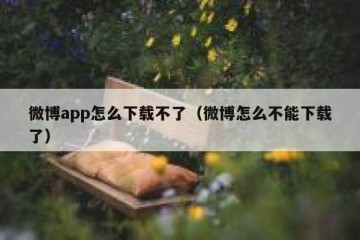 微博app怎么下载不了（微博怎么不能下载了）