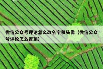 微信公众号评论怎么改名字和头像（微信公众号评论怎么置顶）