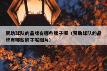赞助球队的品牌有哪些牌子呢（赞助球队的品牌有哪些牌子呢图片）