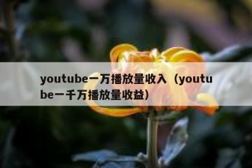 youtube一万播放量收入（youtube一千万播放量收益）