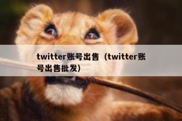 twitter账号出售（twitter账号出售批发）