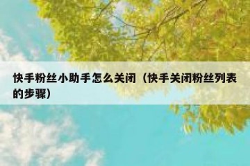快手粉丝小助手怎么关闭（快手关闭粉丝列表的步骤）
