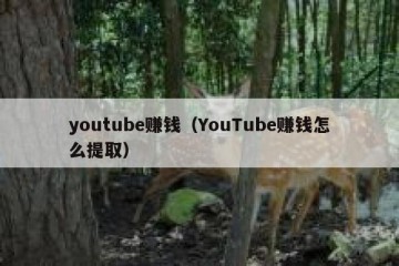 youtube赚钱（YouTube赚钱怎么提取）