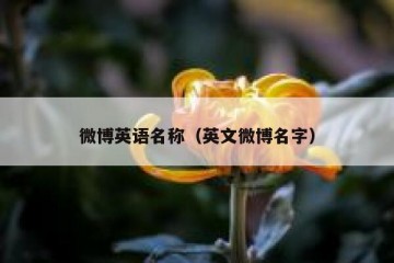 微博英语名称（英文微博名字）