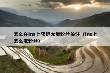 怎么在ins上获得大量粉丝关注（ins上怎么涨粉丝）