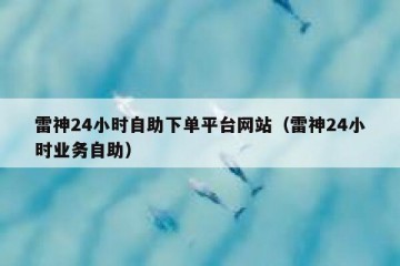 雷神24小时自助下单平台网站（雷神24小时业务自助）