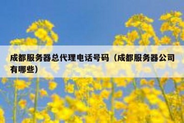 成都服务器总代理电话号码（成都服务器公司有哪些）