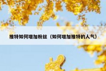 推特如何增加粉丝（如何增加推特的人气）