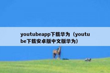 youtubeapp下载华为（youtube下载安卓版中文版华为）