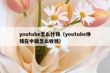 youtube怎么付钱（youtube挣钱在中国怎么收钱）