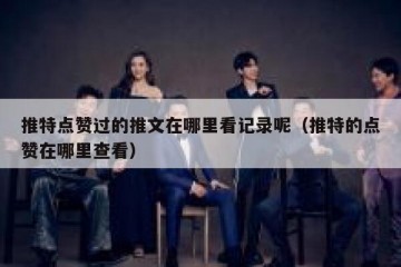 推特点赞过的推文在哪里看记录呢（推特的点赞在哪里查看）