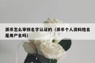 派币怎么审核名字认证的（派币个人资料姓名是用户名吗）