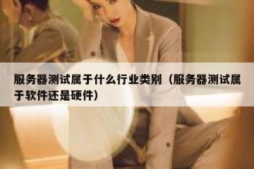 服务器测试属于什么行业类别（服务器测试属于软件还是硬件）