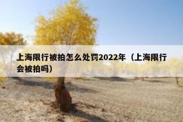 上海限行被拍怎么处罚2022年（上海限行会被拍吗）