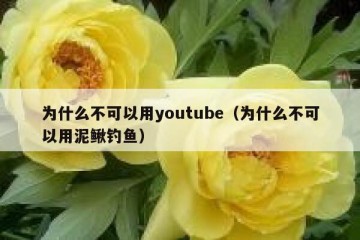 为什么不可以用youtube（为什么不可以用泥鳅钓鱼）